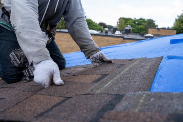 Best Metal Roofing Contractor  in Richmond Heights, FL